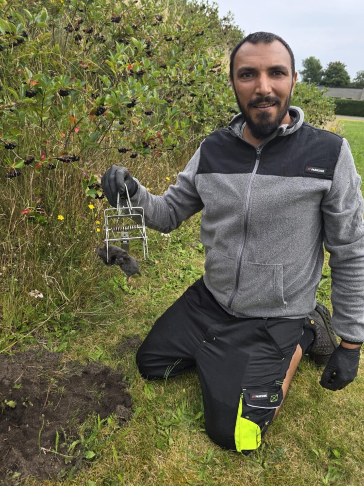 Muldvarpebekæmpelse i Herning – MinGartner